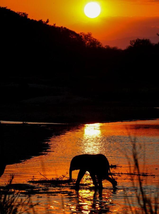 Leopard Hills Private Game Reserve 사비샌드 외부 사진